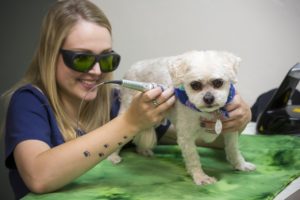 integrative medicine laser therapy