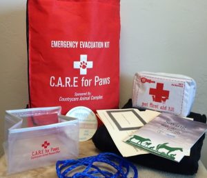 evacuation bag