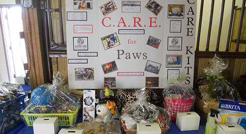The C.A.R.E. for Paws fundraising display in the Countrycare lobby