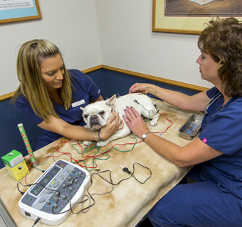 Holistic exam room