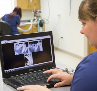 AHZ looking at dental x-rays resized