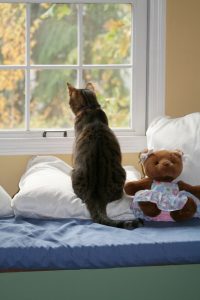 cold outside window