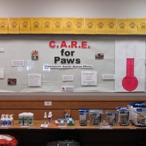 The C.A.R.E. for Paws fundraiser display, 2012