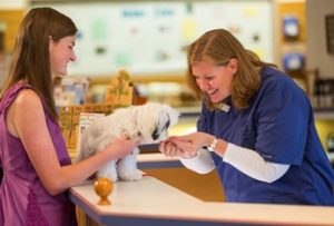 positive veterinary visit