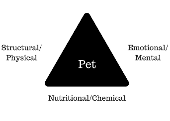 wellness triangle