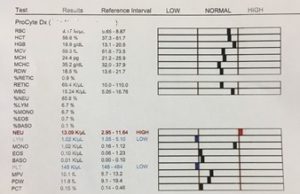 baseline blood work