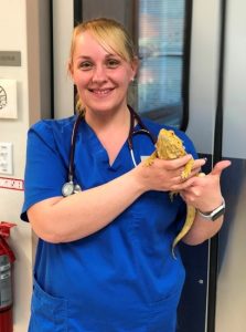 new pet bearded dragon