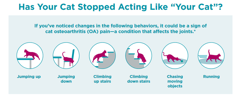 checklist for osteoarthritis