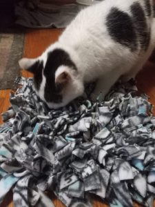 Stratta with snuffle mat