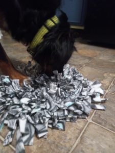 Wren with snuffle mat