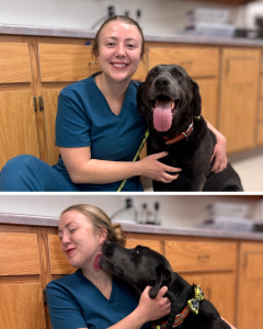 Vet Assistants