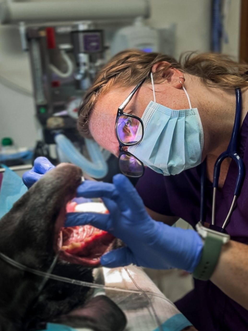 A Countrycare technician performing a dental cleaning