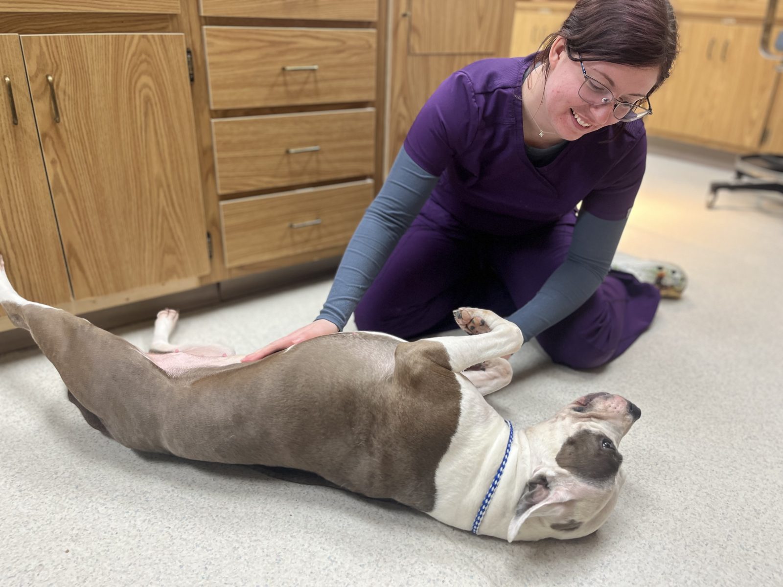 Shannon, a Countrycare technician, giving a patient belly rubs