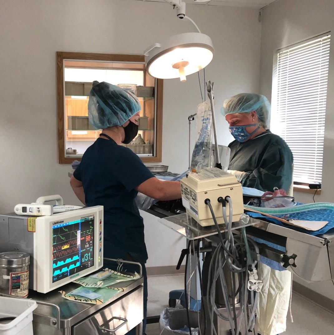 The Countrycare surgery room