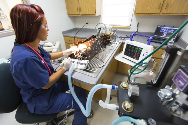 A Countrycare technician at the dental table beside the patient monitor