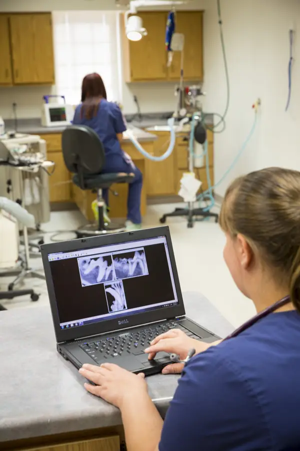 A technician reviews dental x-rays on a laptop, the dental suite behind her