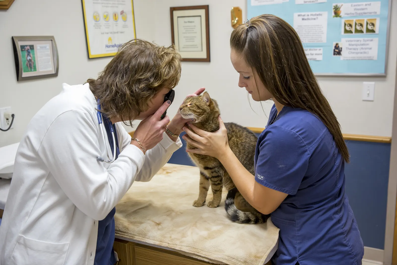An exam room at Countrycare