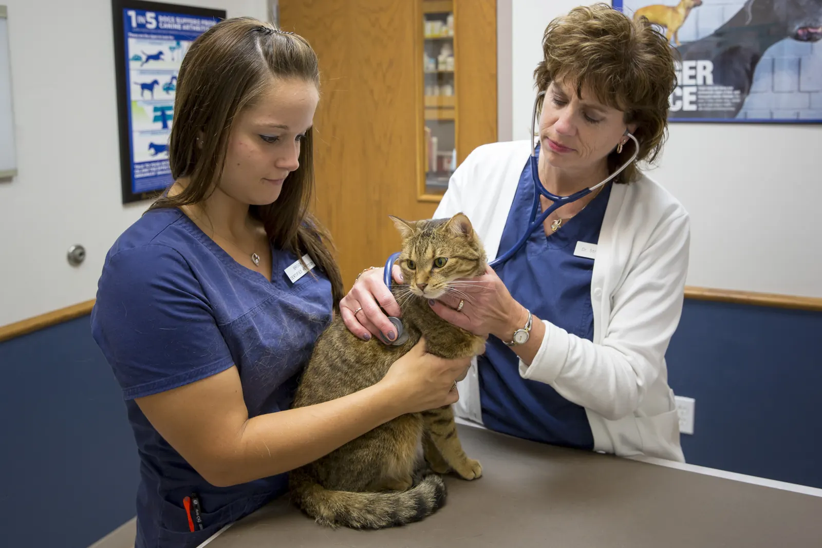 An exam room at Countrycare