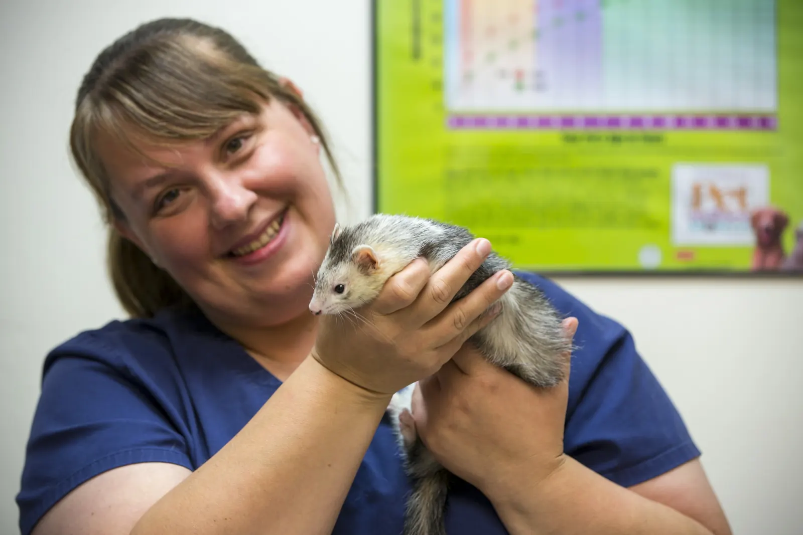 Exotic pet care at Countrycare