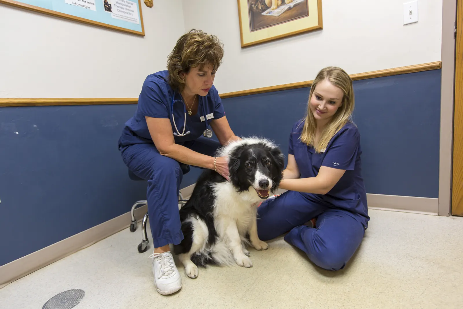 Holistic care at Countrycare