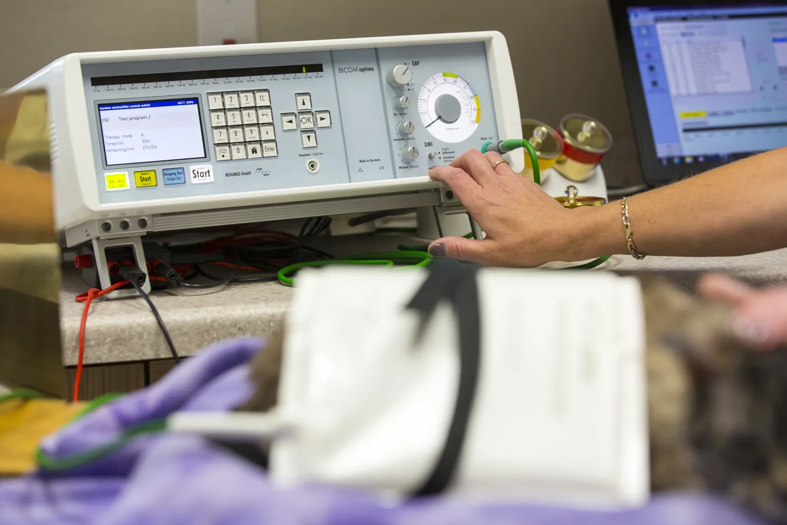 Holistic care at Countrycare