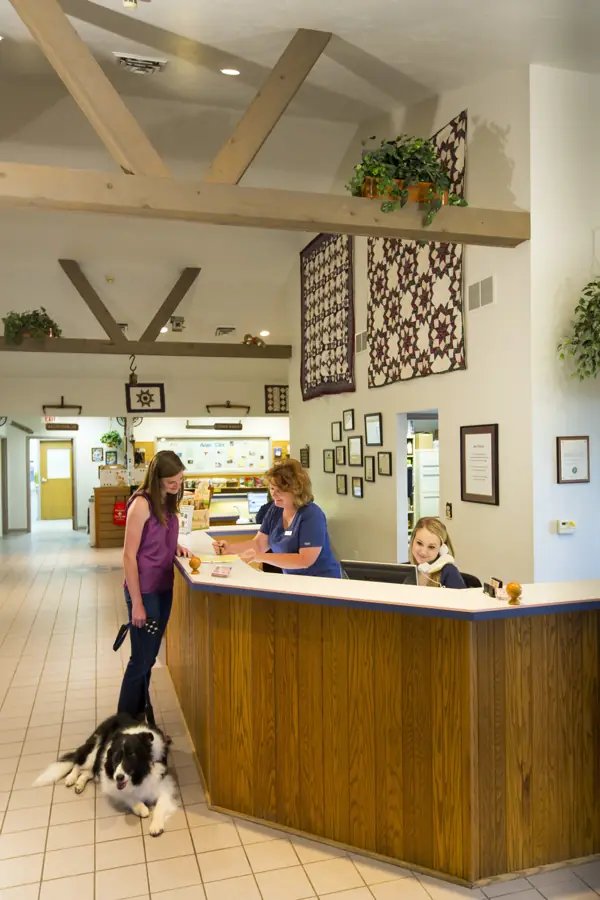 The reception area under a beamed ceiling, a client and her border collie at the front desk