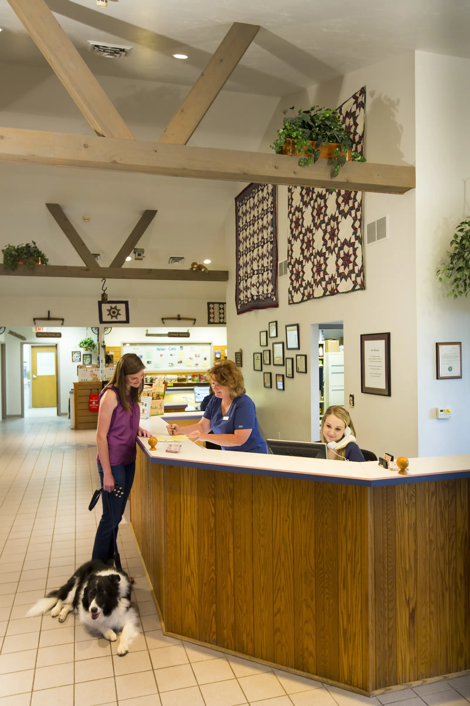 The reception area at Countrycare