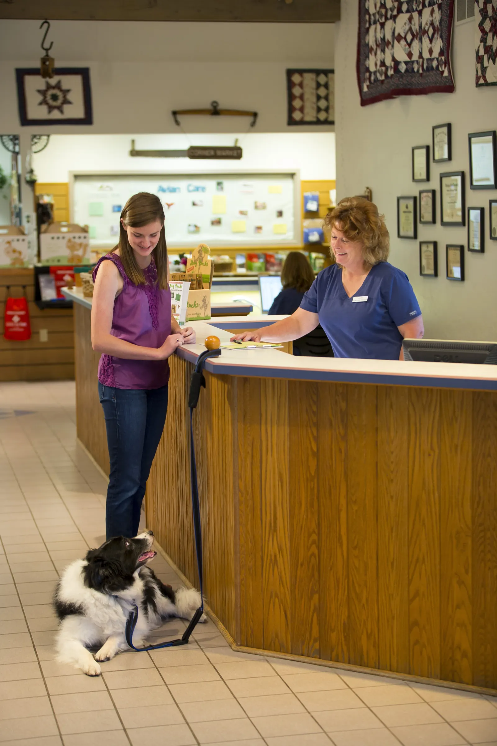 The reception area at Countrycare