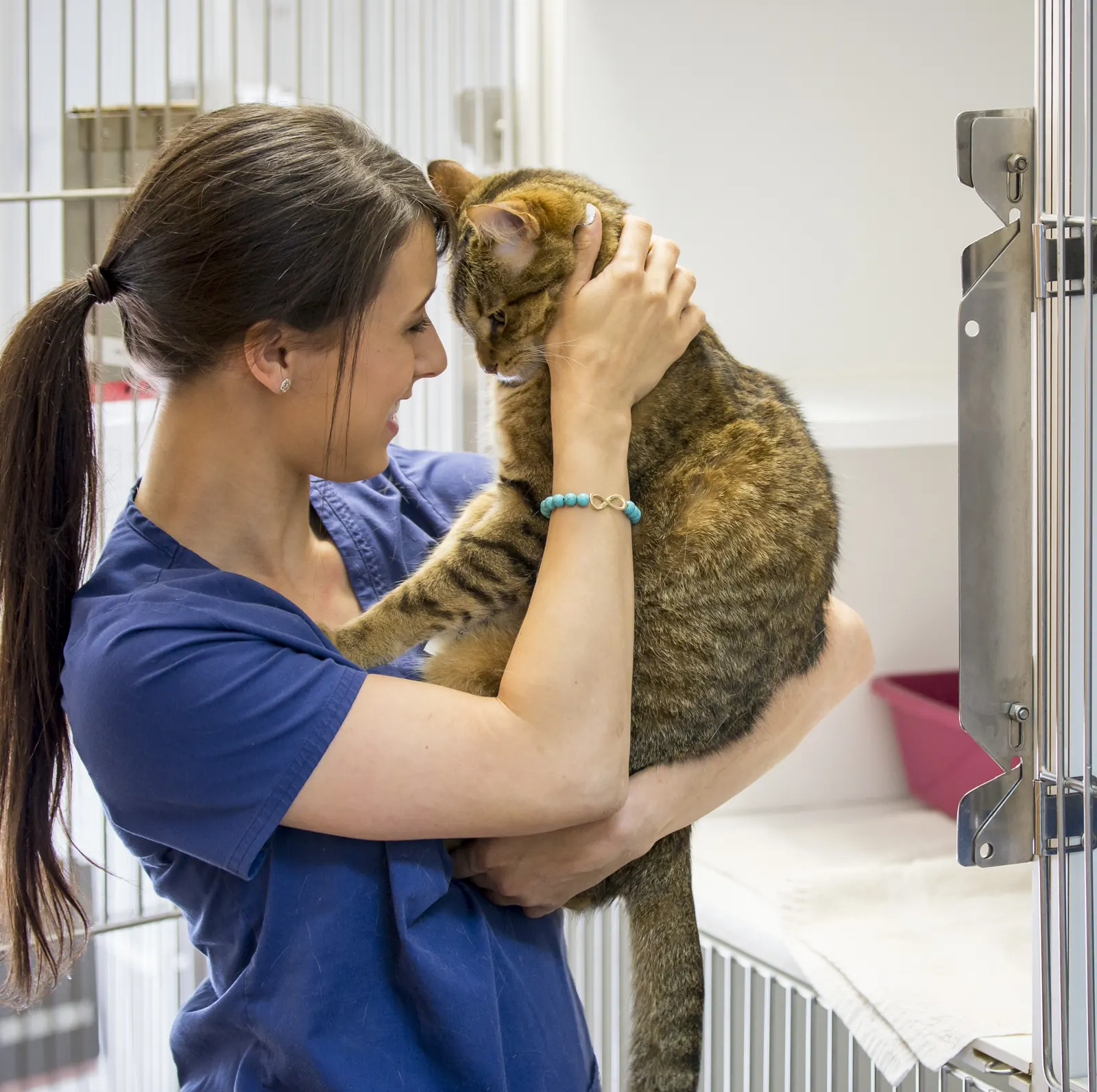 A Countrycare team member and a tabby cat touch foreheads beside the kitty condos