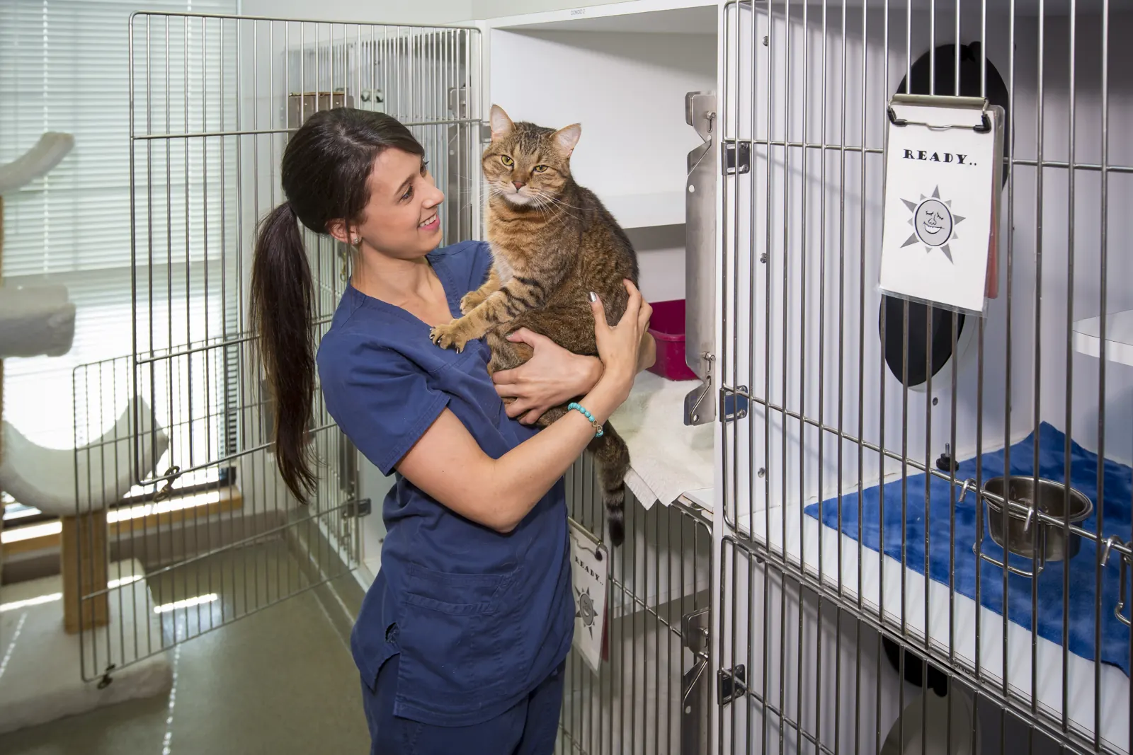 A Countrycare team member holds a tabby cat among the kitty condos of the Cat Napper