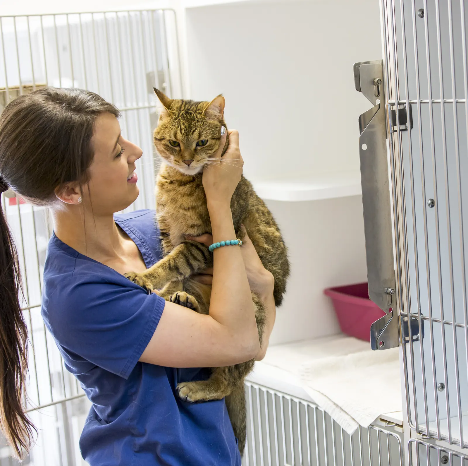 A Countrycare team member smiles at the tabby cat in her arms