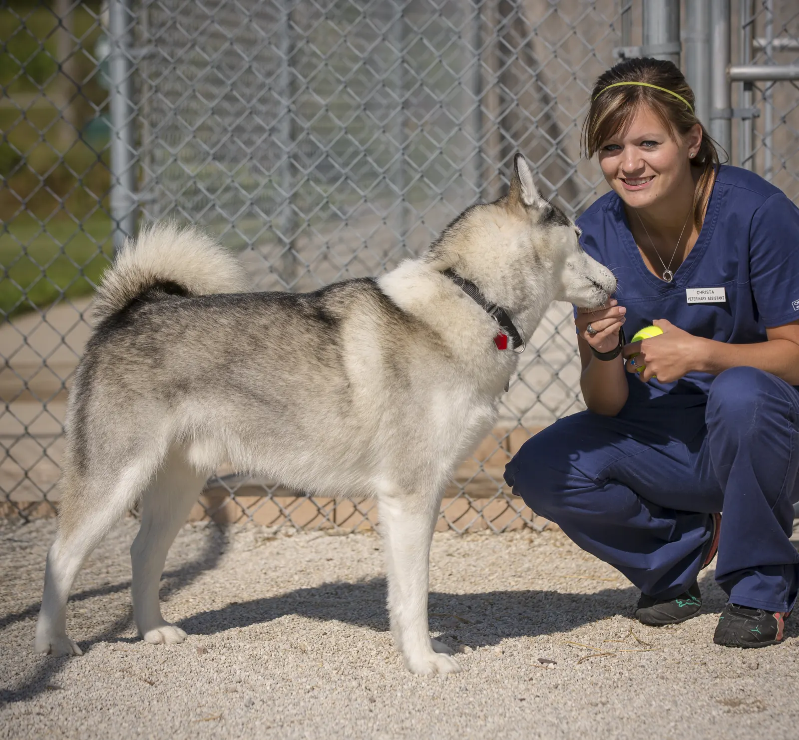 A Countrycare team member crouches beside a husky in the outdoor run