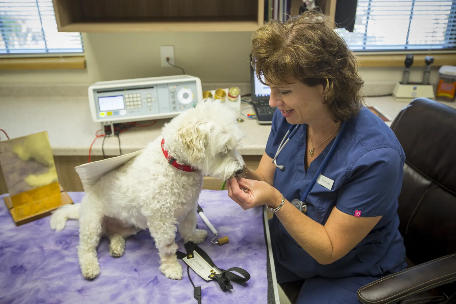 A Countrycare veterinarian with a small white dog on the purple BICOM mat, the BICOM device on the counter behind them