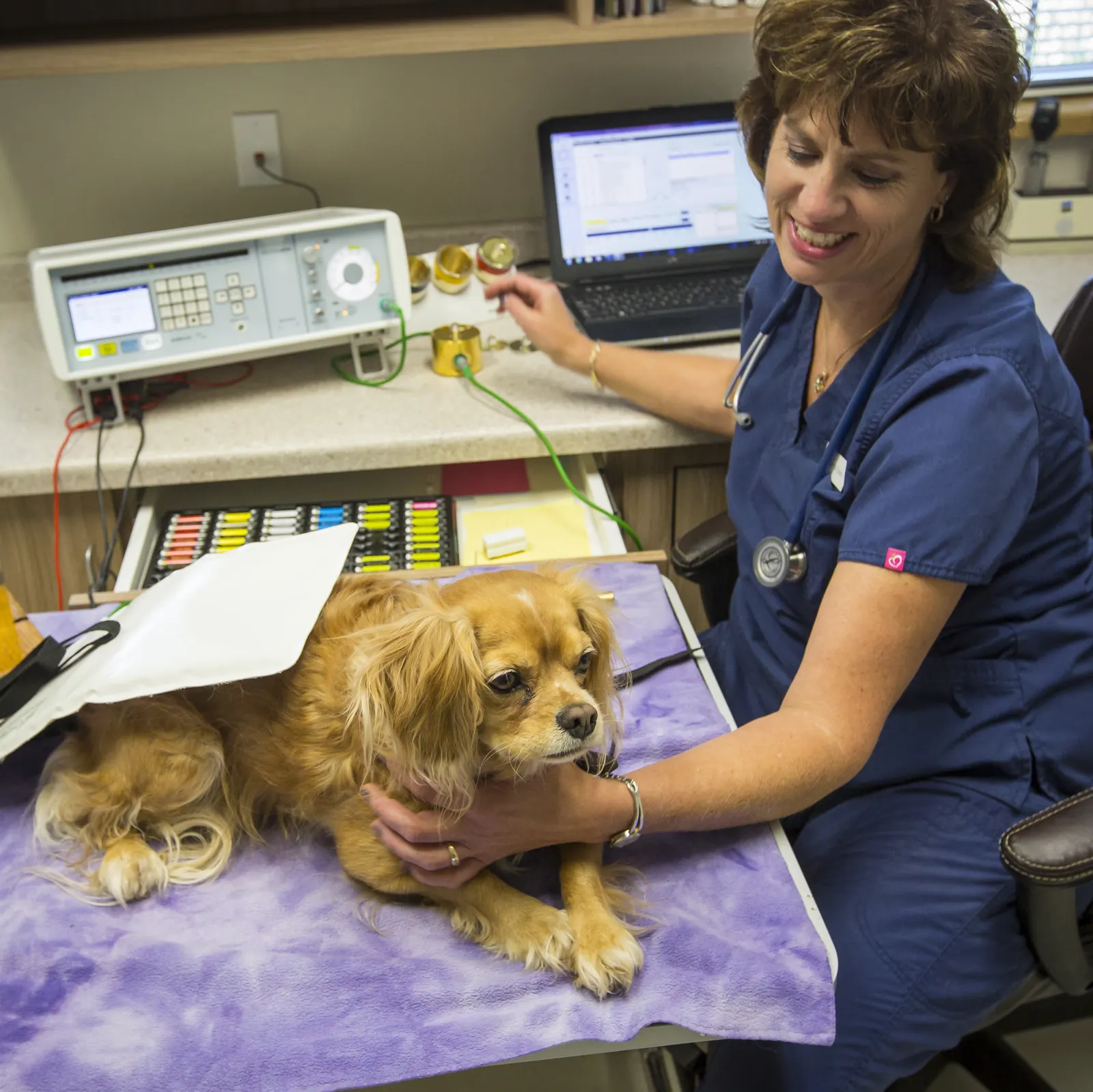 A Countrycare veterinarian smiles at a small long-haired dog during a BICOM session, the device on the counter behind them