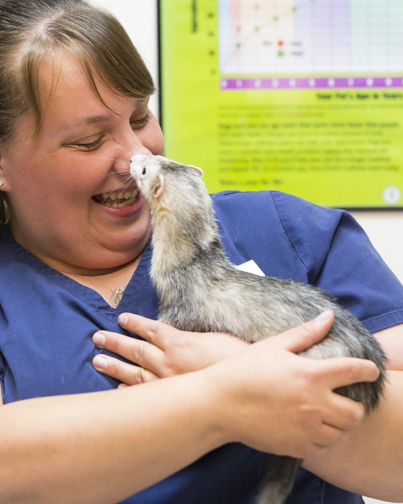 A Countrycare team member laughs as a ferret nuzzles her face