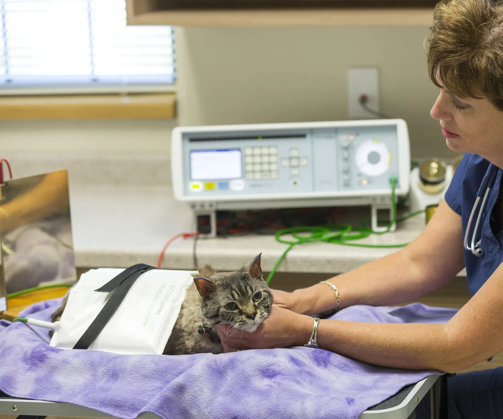 A Countrycare veterinarian strokes a gray cat lying on the BICOM mat, the device on the counter behind them