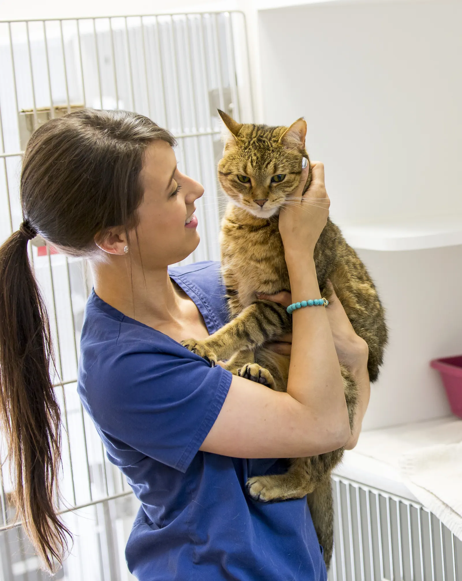 A Countrycare team member smiles up at the tabby cat she holds beside the cat kennels