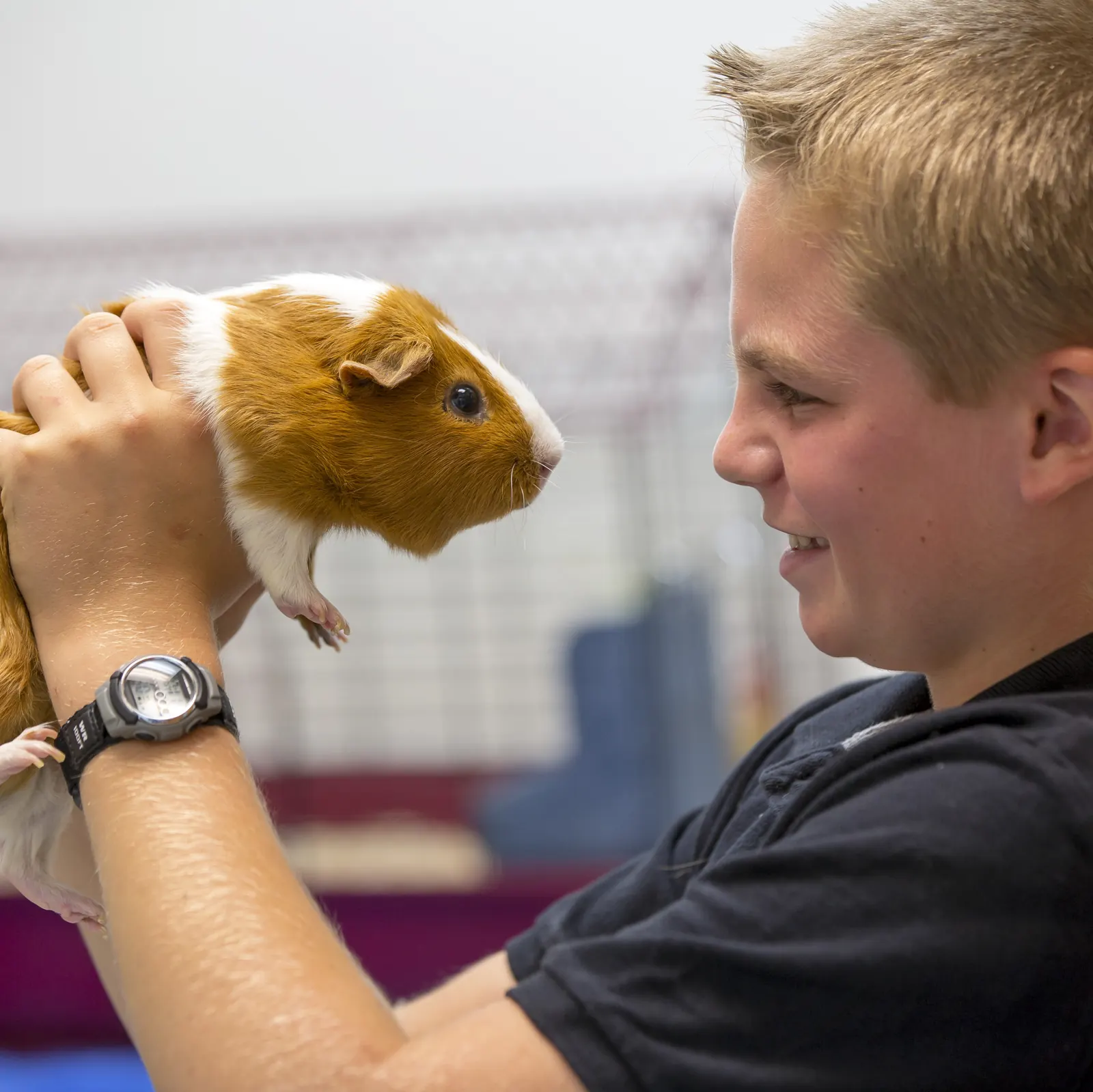 A boy holds his guinea pig up at eye level and grins at it