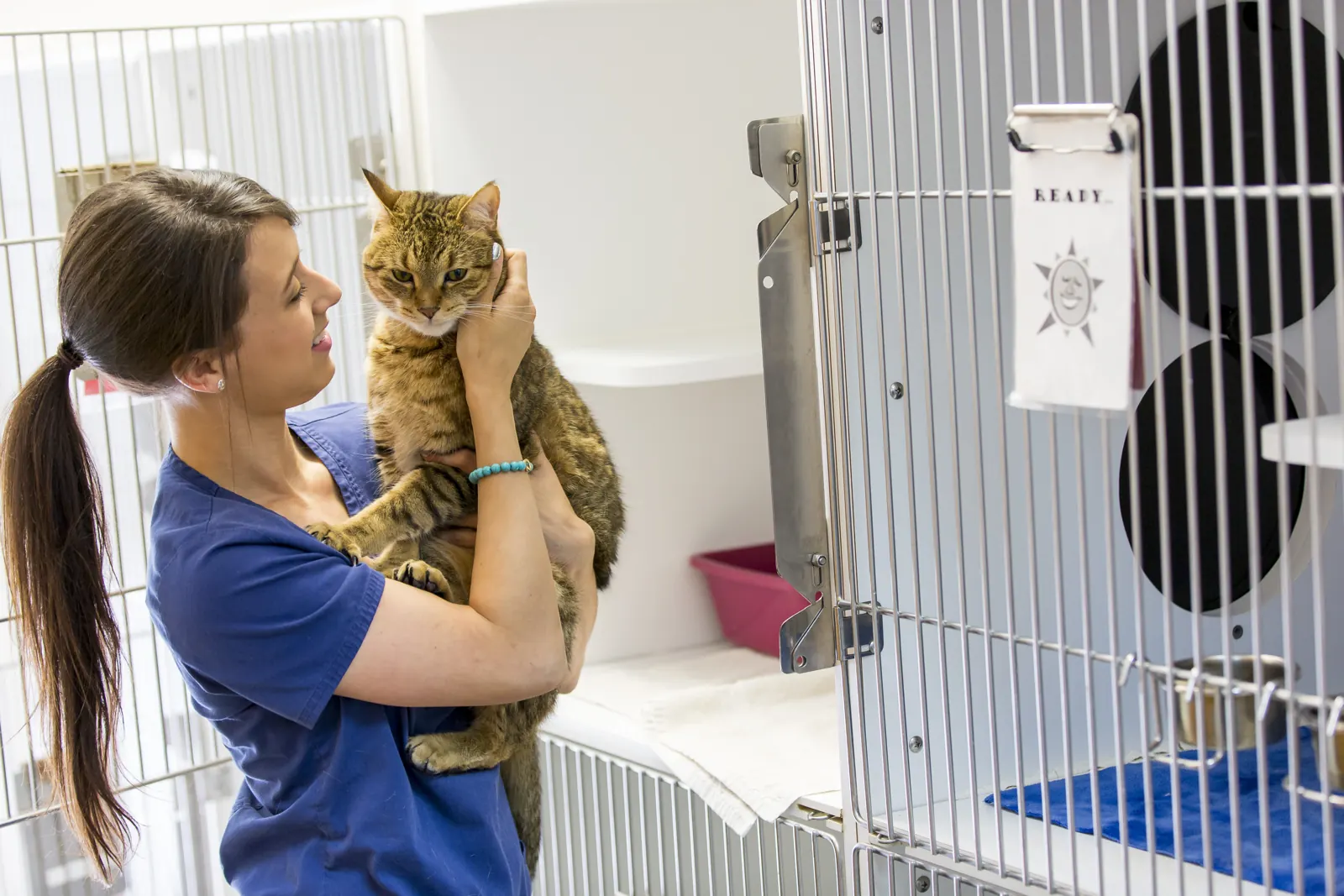 A Countrycare technician holds up a tabby cat beside the cat boarding condos