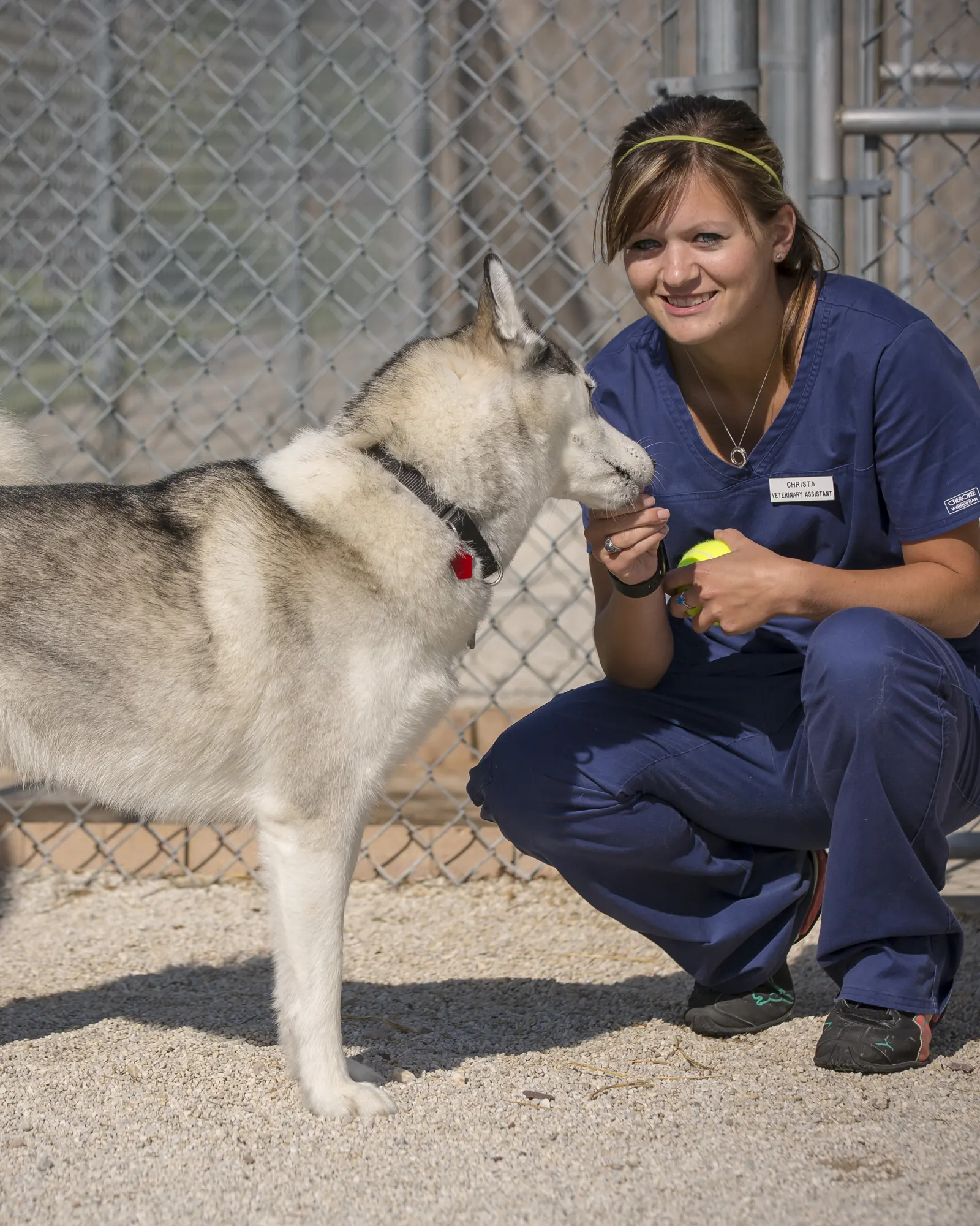 A Countrycare team member crouches with a husky in the outdoor dog run