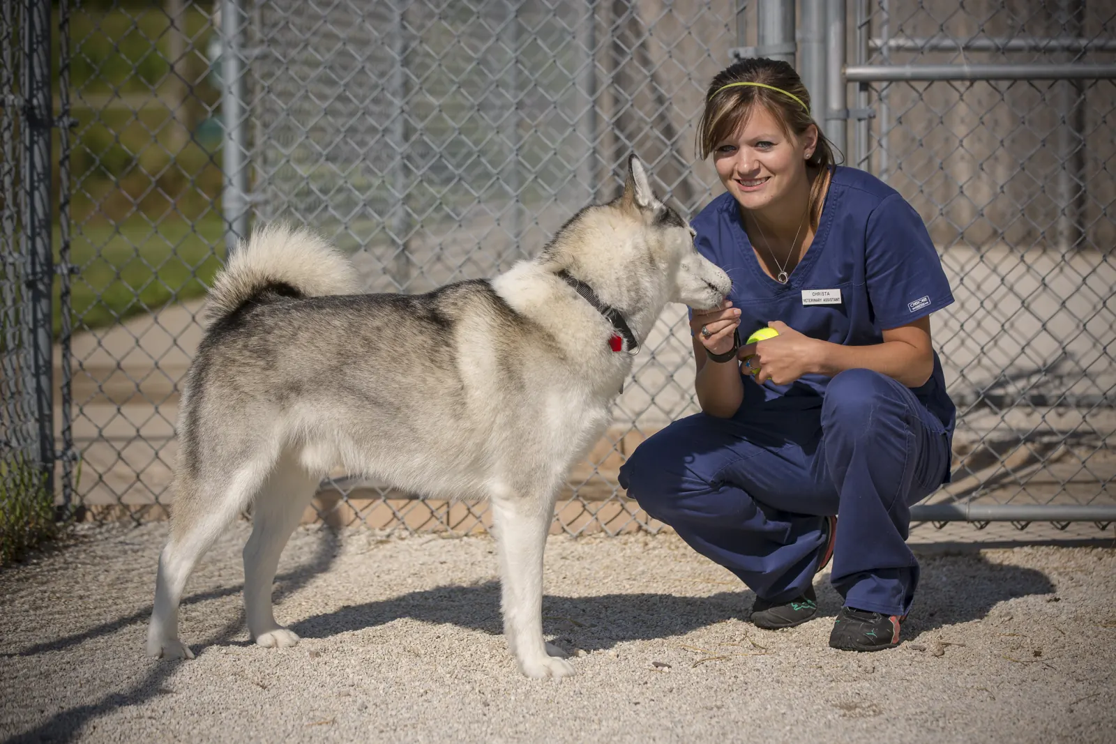 A Countrycare team member crouches face to face with a husky in the outdoor run