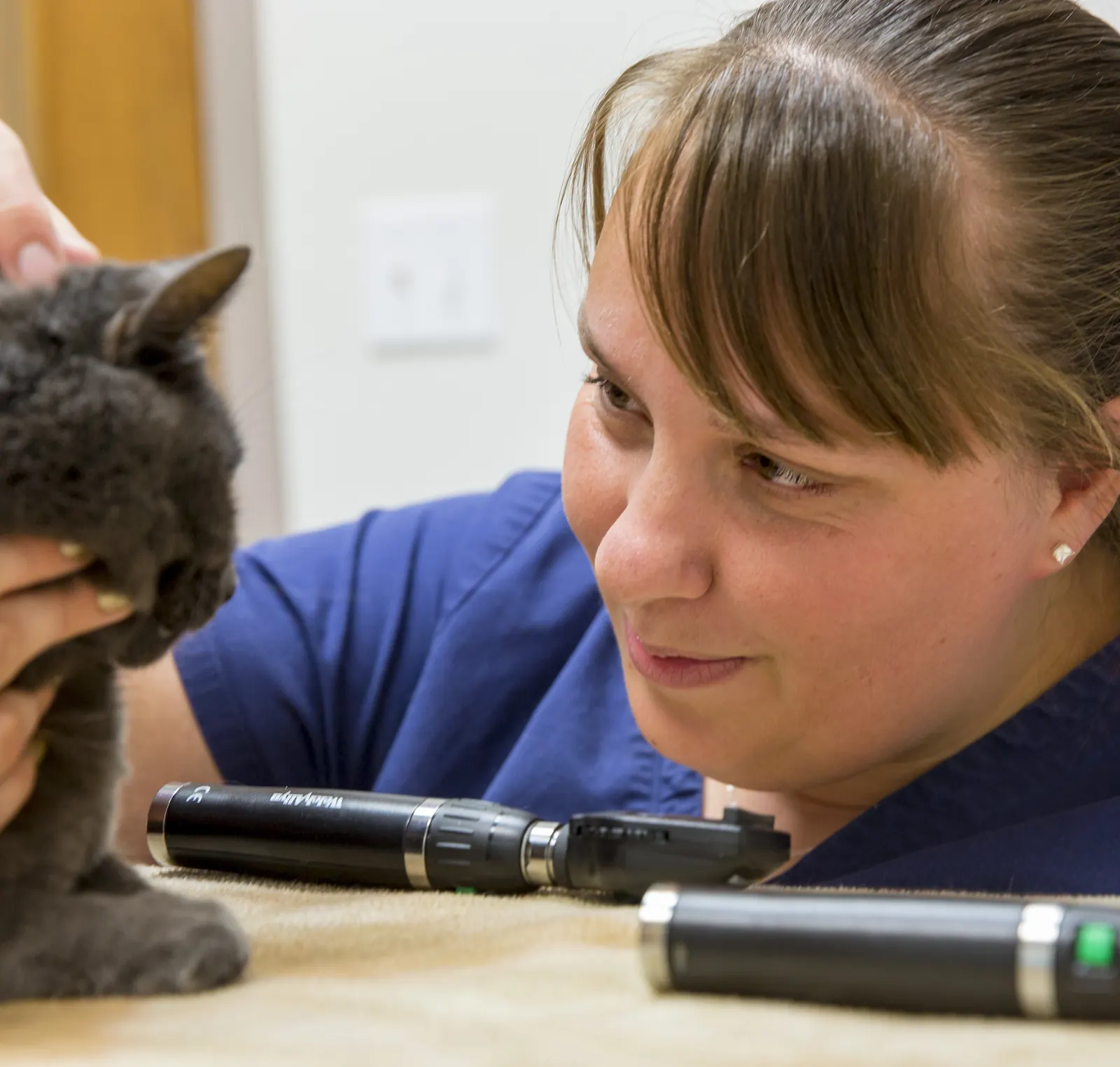A Countrycare veterinarian with a gray cat on the exam table, otoscopes beside them