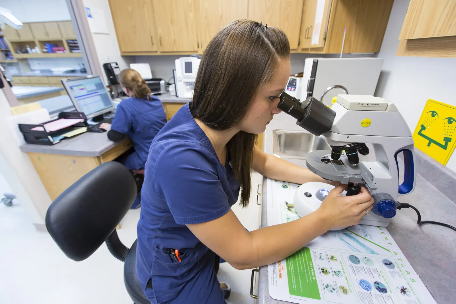 A Countrycare technician works at the microscope
