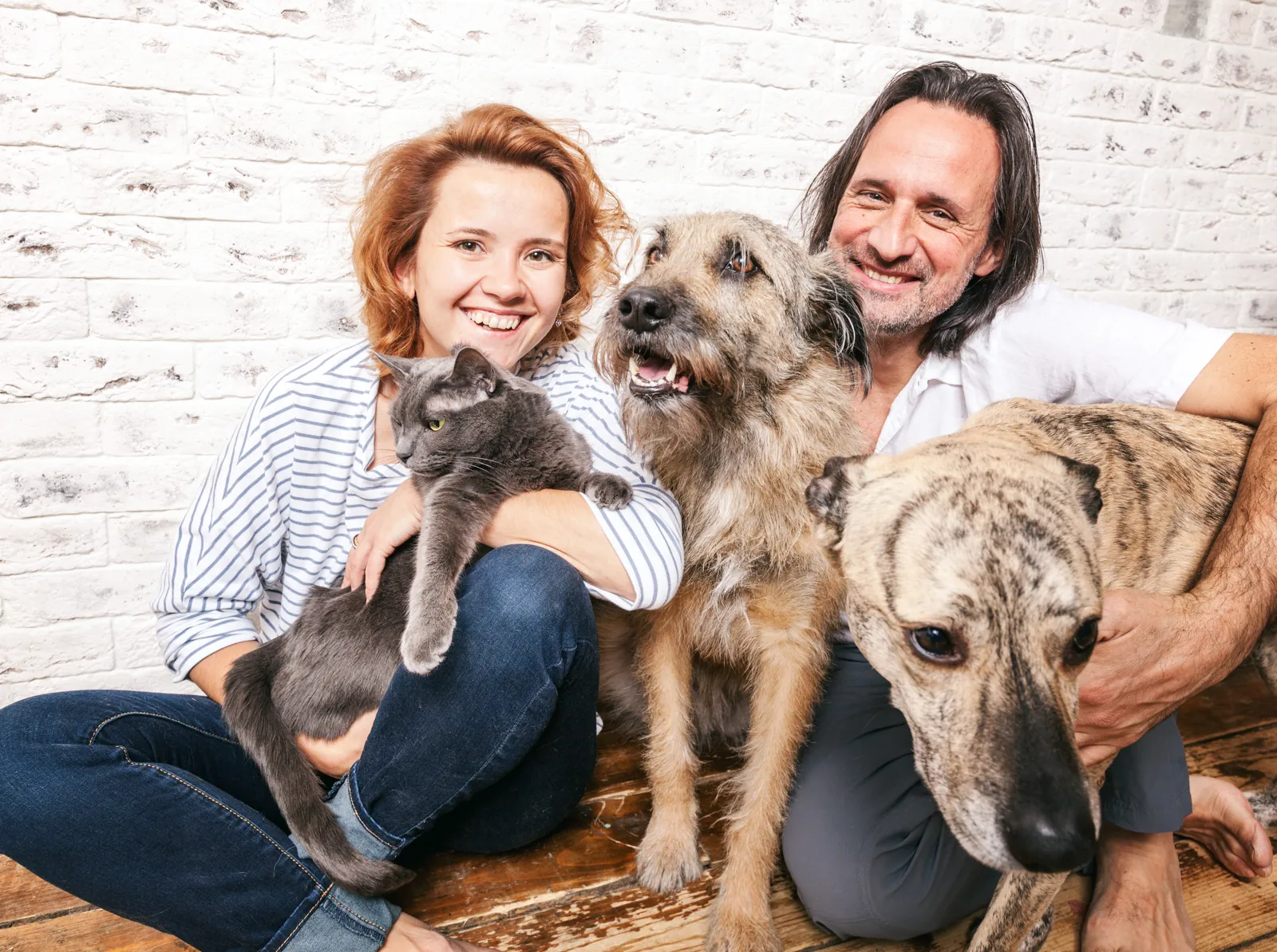 A smiling couple sits on the floor with their gray cat and two dogs