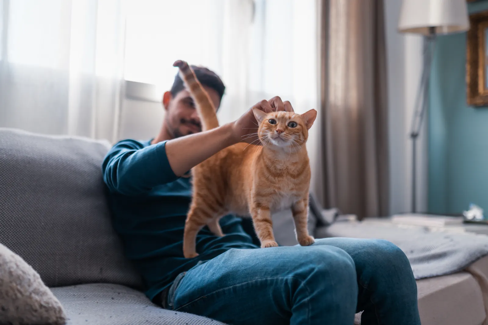 A man on his couch pets an orange tabby standing on his lap
