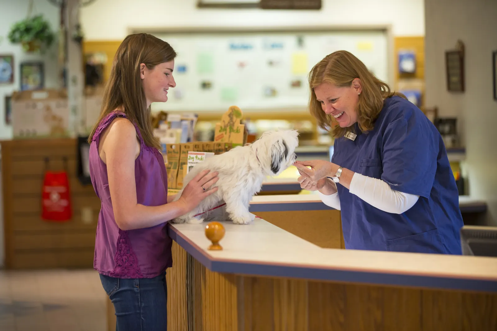 A client and a Countrycare team member with a small dog at the front desk