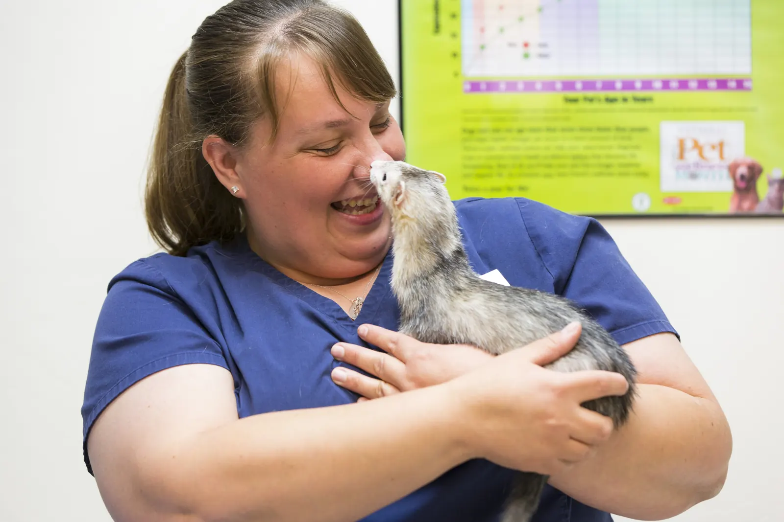 A Countrycare team member laughs as the ferret she is holding nuzzles her face