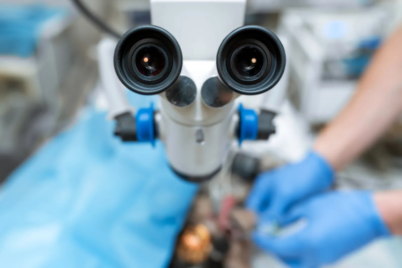 The eyepieces of a surgical microscope as a gloved veterinarian works beneath it