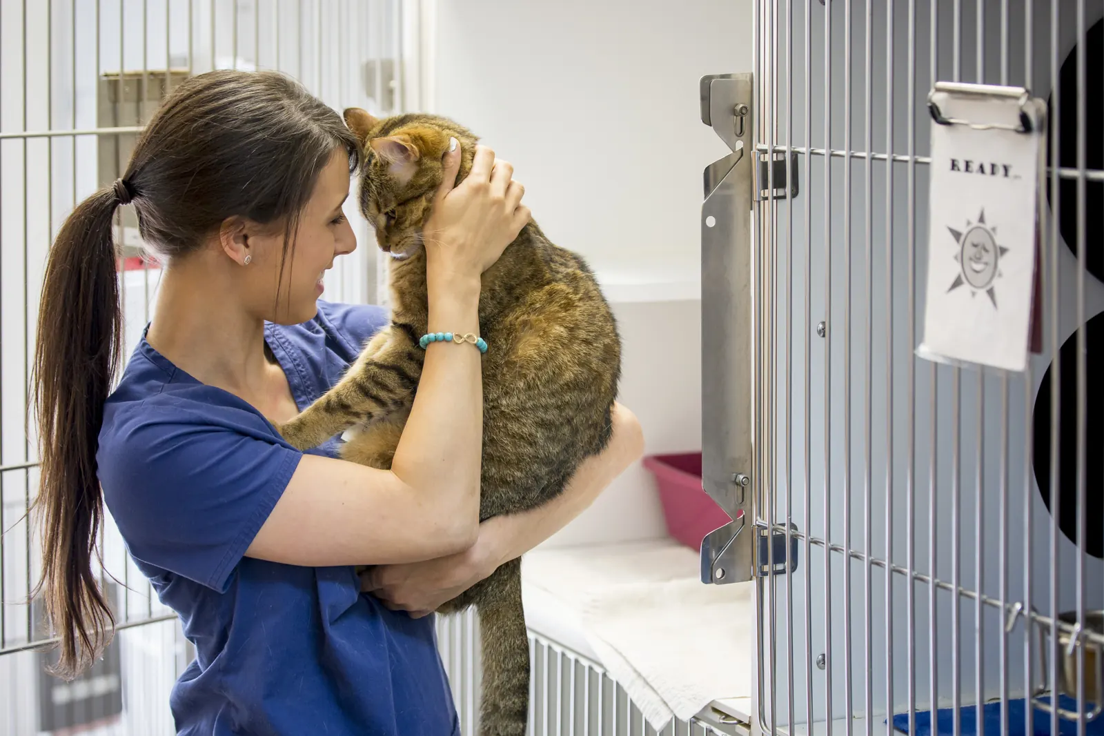 A Countrycare team member hugs a tabby cat beside the cat kennels
