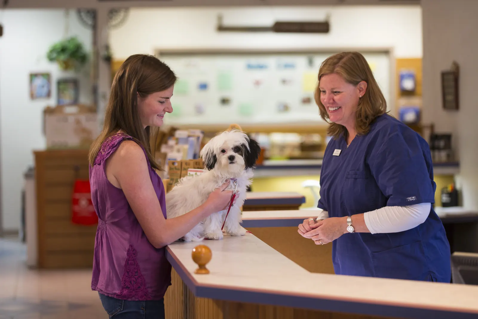 A client and her small black-and-white dog share a laugh with a Countrycare team member at the front desk
